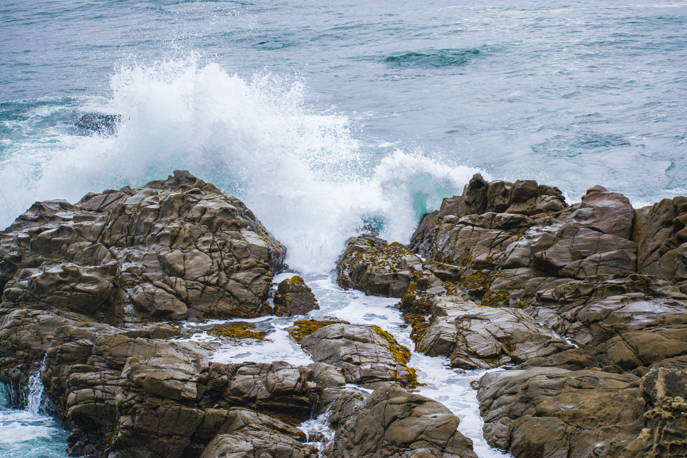 cambria, california (4).webp